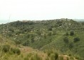 Panorama - Ardore Centro Panorama - Ardore Centro